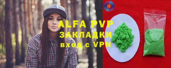 стафф Арсеньев