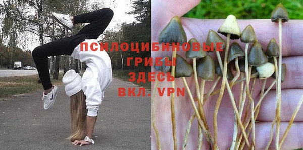 мдпв Белокуриха