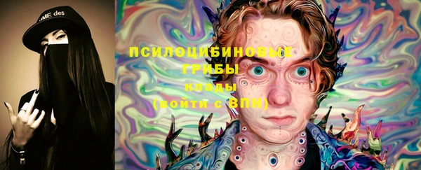 бошки Баксан