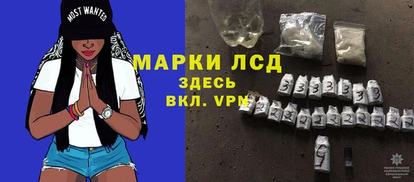 стафф Арсеньев